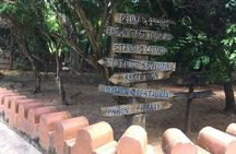 Prison Island and Stone Town Private Tour