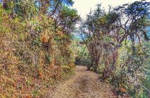 Inca Jungle to Machu Picchu 4 Days