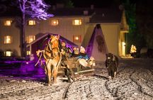 Horse Sleigh Ride Under The Night Sky in Apukka Resort, Rovaniemi