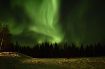 Horse Sleigh Ride Under The Night Sky in Apukka Resort, Rovaniemi