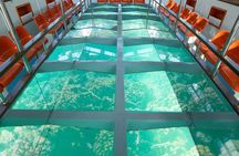 Glass-Bottom Boat 2-hours Tour and Coral-Reef Viewing from Aqaba