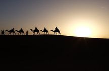 Shared Marrakech Desert Tour with Luxury camp