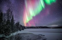 Ice Floating in Forest Lake with Aurora Borealis