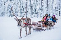 Reindeer Sleigh Ride and Farm Experience from Rovaniemi