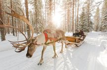 Reindeer Sleigh Ride and Farm Experience from Rovaniemi