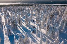 Snowmobiles and Huskies
