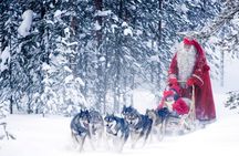 Snowmobiles and Huskies