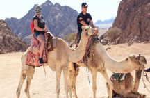 Hurghada: 6-Hour Jeep Desert Safari with BBQ Dinner & Show