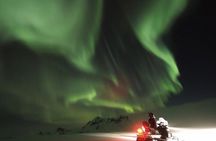 Northern Lights Snowmobile Hunt