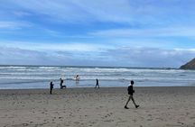 Oregon Coastal Tour to Cannon Beach and Haystack Rock