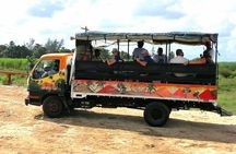Bayahibe Safari Discovery 