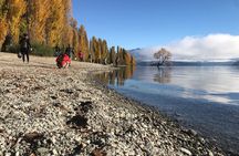 Full Day Private Sightseeing Tour from Queenstown 