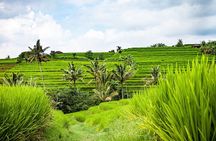 Bali’s Spiritual and Natural Heartlands