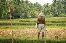 Bali’s Spiritual and Natural Heartlands