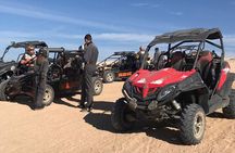 Buggy Adventure Half Day Experience