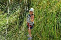 Outdoor and Zipline Adventure in Baja California