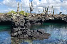 Snorkeling in Cabo Rosa Tunnels Isabela Island