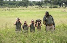 Safari Game Drive and Rhino Walk in Mosi-oa-Tunya National Park 