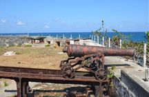 4 IN 1 Private & Customize Day Trip To Negril Including Entry Fee