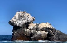 Snorkeling in Cabo Rosa Tunnels Isabela Island