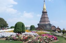 One day tour Doi Inthanon National Park and Trekking on Kew Mae Pan Trail 