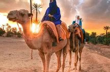 Agafay Desert Adventure : Quad Biking, Camel Riding, and Dinner 