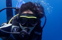 Full Day Fun Diving at Tulamben All inclusive