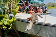 Wildlife Experience in the Panama Canal Along The Gatun Lake
