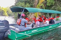 Wildlife Experience in the Panama Canal Along The Gatun Lake