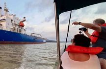 Wildlife Experience in the Panama Canal Along The Gatun Lake