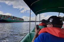 Wildlife Experience in the Panama Canal Along The Gatun Lake