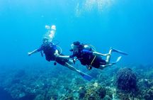 Full Day Fun Diving at Tulamben All inclusive