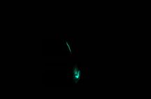 3 hour Glow Worm Sunset Cruise from Providenciales