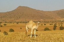 Sahara desert 2 days 1 Night from Agadir