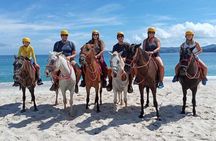 Beach Horseback Riding & Snorkel (Tamarindo, Potrero, Flamingo)
