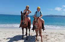 Beach Horseback Riding & Snorkel (Tamarindo, Potrero, Flamingo)