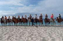 Beach Horseback Riding & Snorkel (Tamarindo, Potrero, Flamingo)