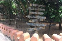 Prison Island, Stone Town and Spice Farm Private Tour