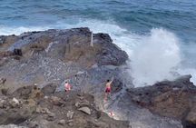 Next Level Oahu Circle Island Tour Snorkel w/Turtles and Byodo-In
