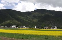 Private Day Tour to Shangri-la from Lijiang by Car
