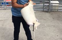 Pier Fishing Tour - San Diego