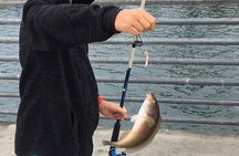 Pier Fishing Tour - San Diego