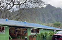 Oahu Guided Circle Island Tour, Swim w/ Turtles, Dole, Blowhole