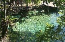 Xpress Tour Tulum And Cenote