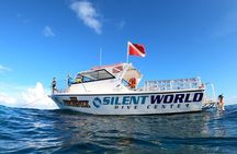 Small - Guided Shallow 2 Tank Dive Experience in Key Largo ALL GEAR INCLUDED