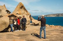 Kangaroo Island in a Day Tour from Adelaide