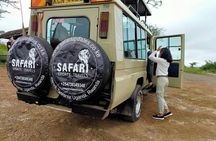 3 Days 2 nights Group joining Midrange Safari Tour in Masai maraa