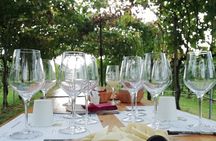 From Venice: day trip to the Prosecco hills with wine tasting