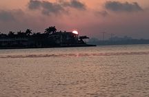 Adventure and Wildlife Watch Kayak Rentals in Sarasota
