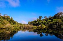 Exploring The Amazon Jungle 3D/2N At Amazon Mamori Lodge 